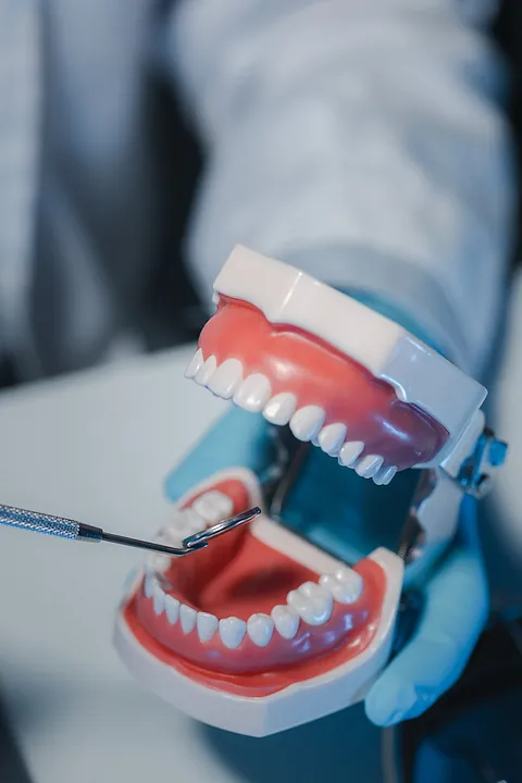 manos sosteniendo prótesis dental